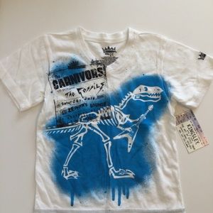 Boys KINGSLEY v-neck Dino dinosaur shirt top 2 NWT